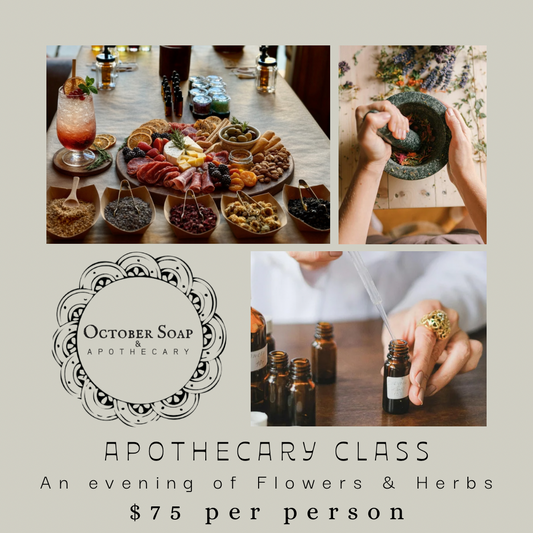 January Herbal Workshop