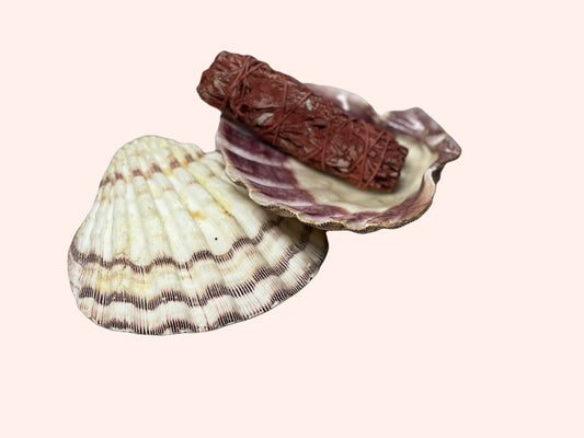 Seashell Smudge